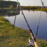 Бізнес з платної риболовлі